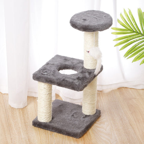 Cat Climbing Tree