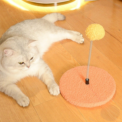 Cat Toy