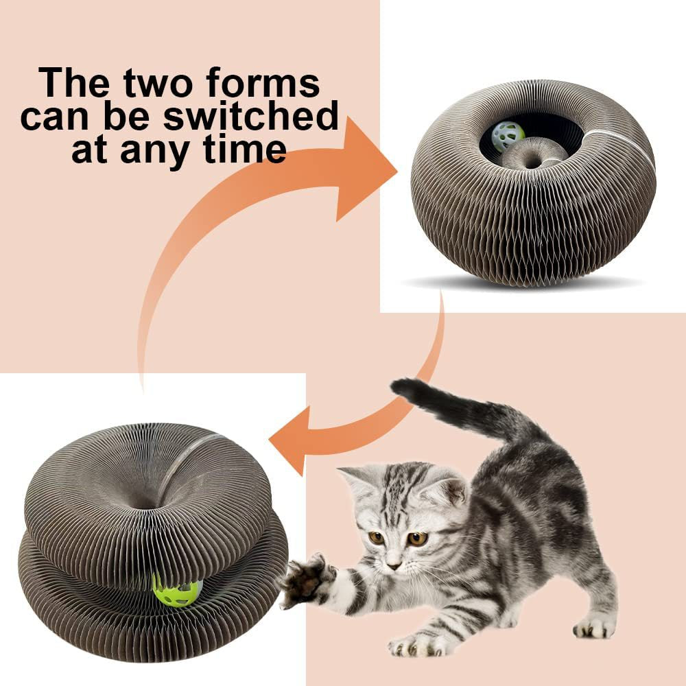 New Cat Trending toy