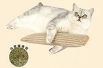 Cat Pillow with Catnip