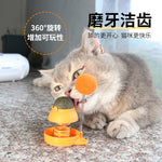Catnip rotating ball with toy