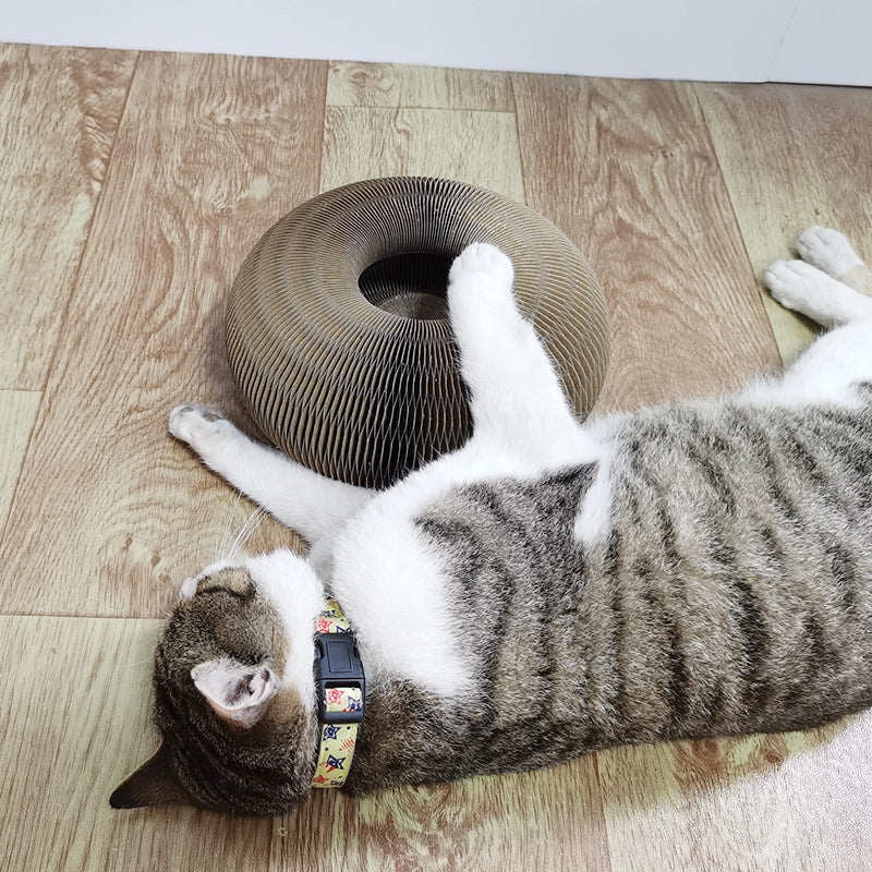 New Cat Trending toy