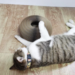 New Cat Trending toy