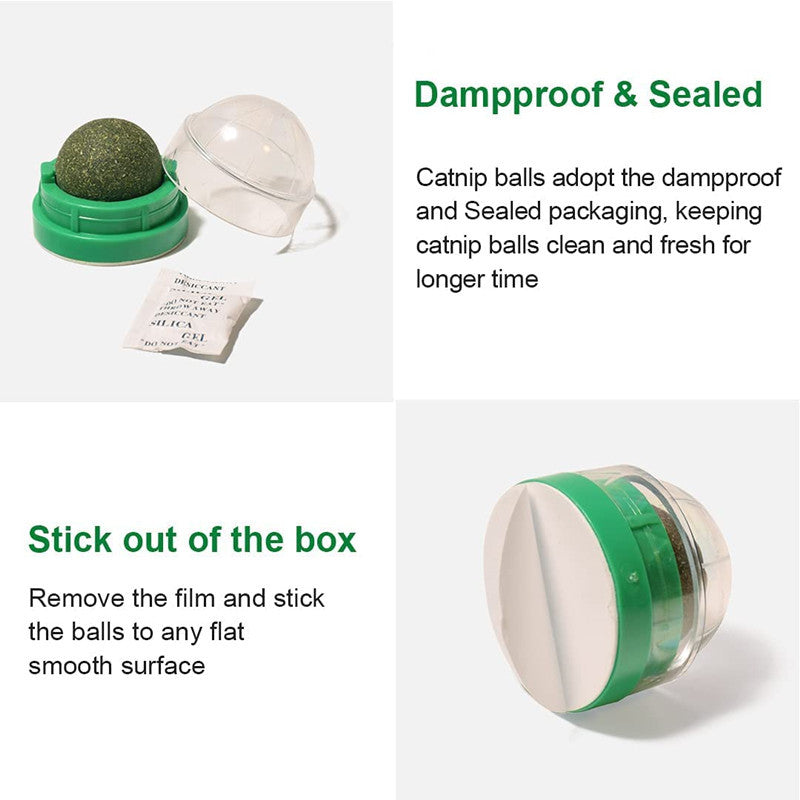 Catnip Ball Mint Flavor