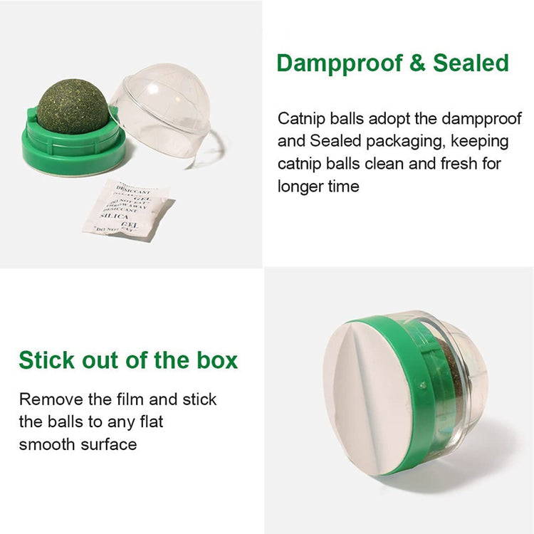 Catnip Ball Mint Flavor