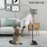 Cat toy upgraded version with stand