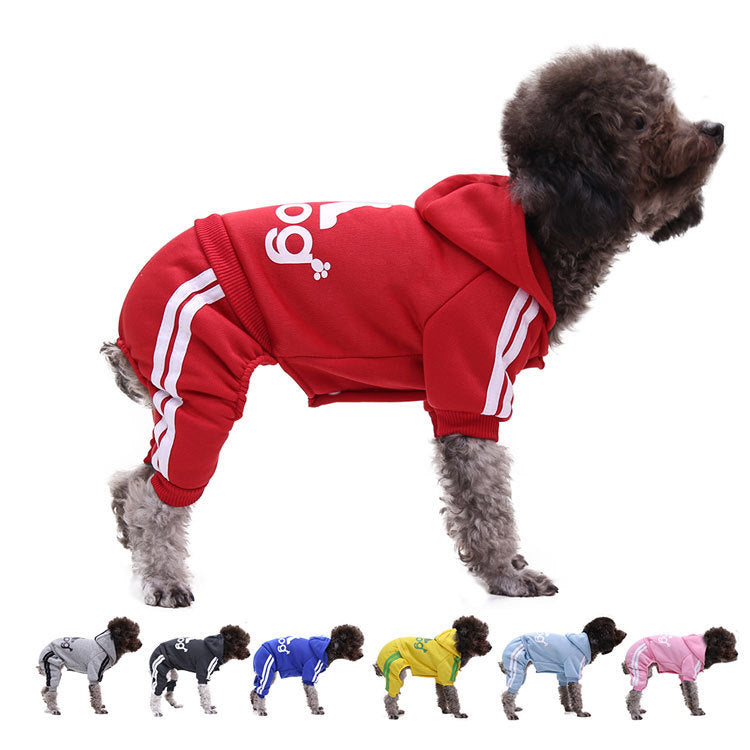 Dog clothes