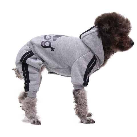 Dog clothes