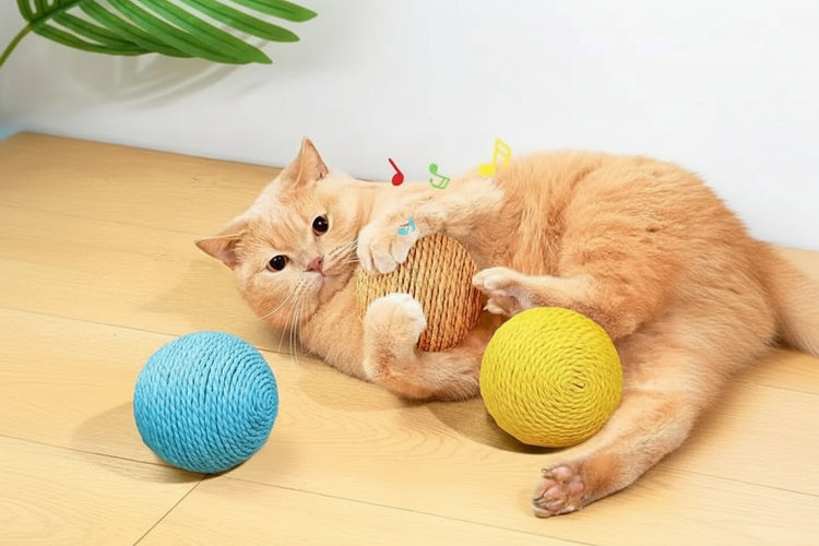 Big Size Sisal cat ball boy