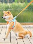 NEW Dog harness and leash