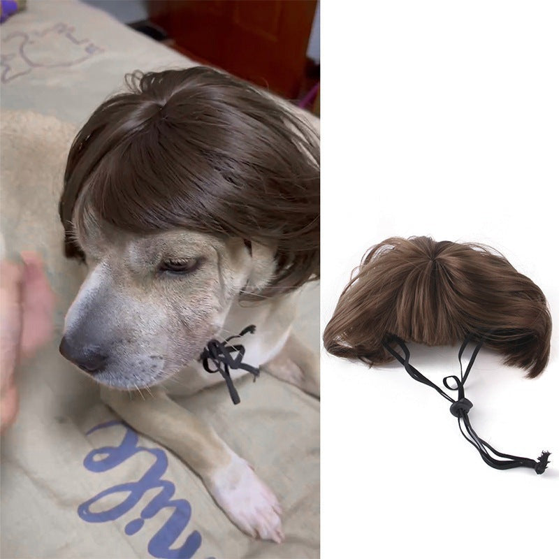 Dog Wig