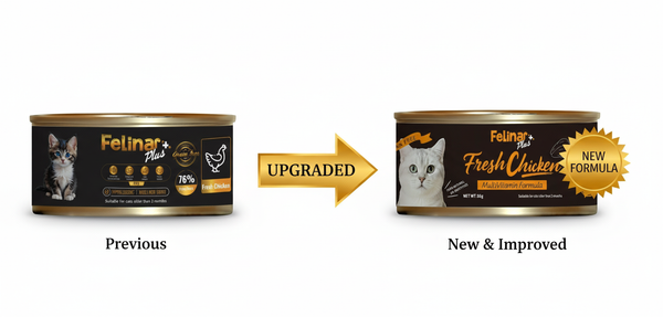 Felina+ Fresh Chicken Hypoallergenic Multivitamin 85g All Stages