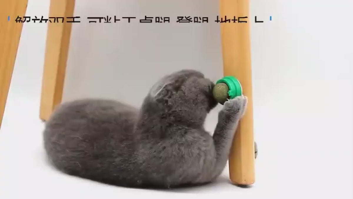 Catnip Ball Mint Flavor