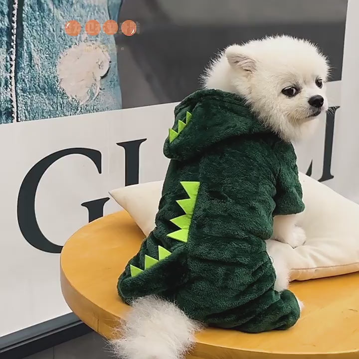 Cute puppy and medium sized dogs clothes
