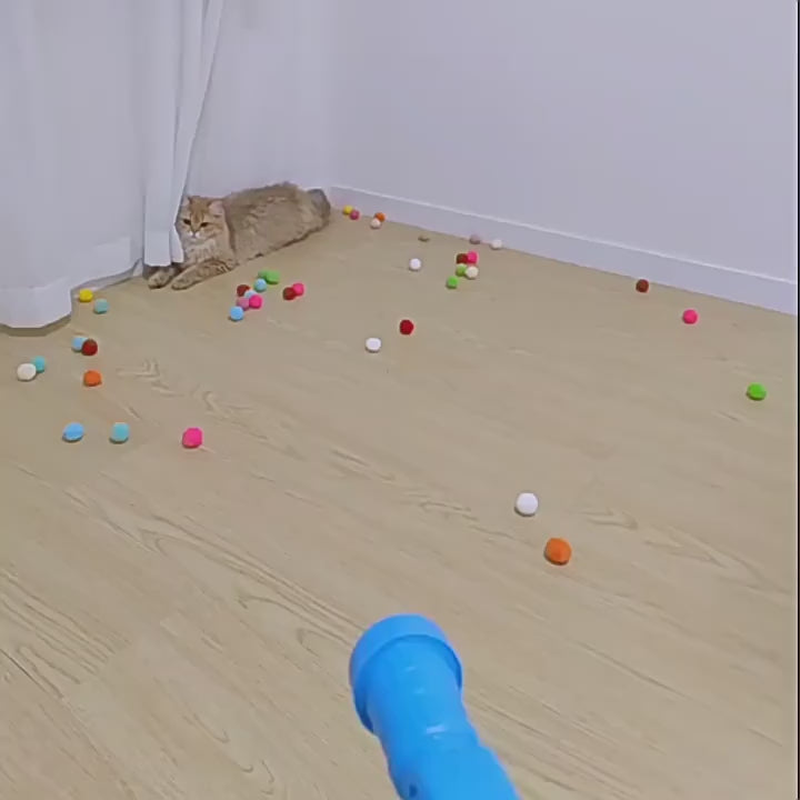 Cat Gun Toy +  3 BALLS
