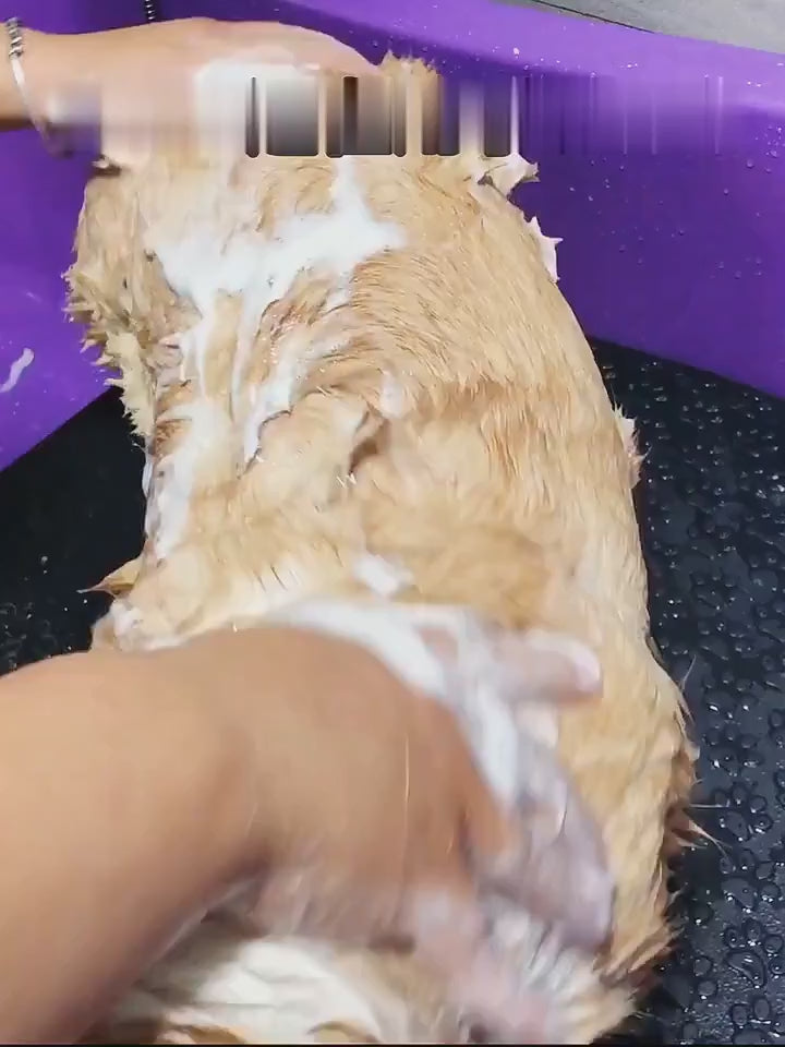 Pet bathing and massaging comb