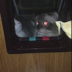 TWO WAT Pet Door