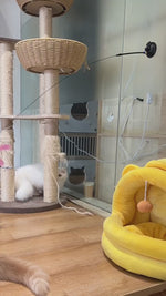 Cat toy upgraded version with stand