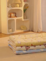 Pet Blanket