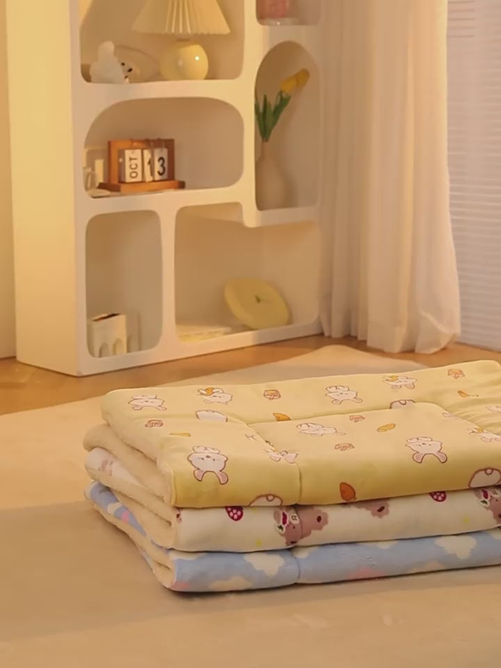 Pet Blanket