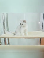 Cat Bed Window Hammock
