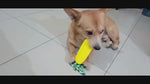 Dog Toys Bite Resistant Dog toothbrush stick with sound to Relieve Boredom
