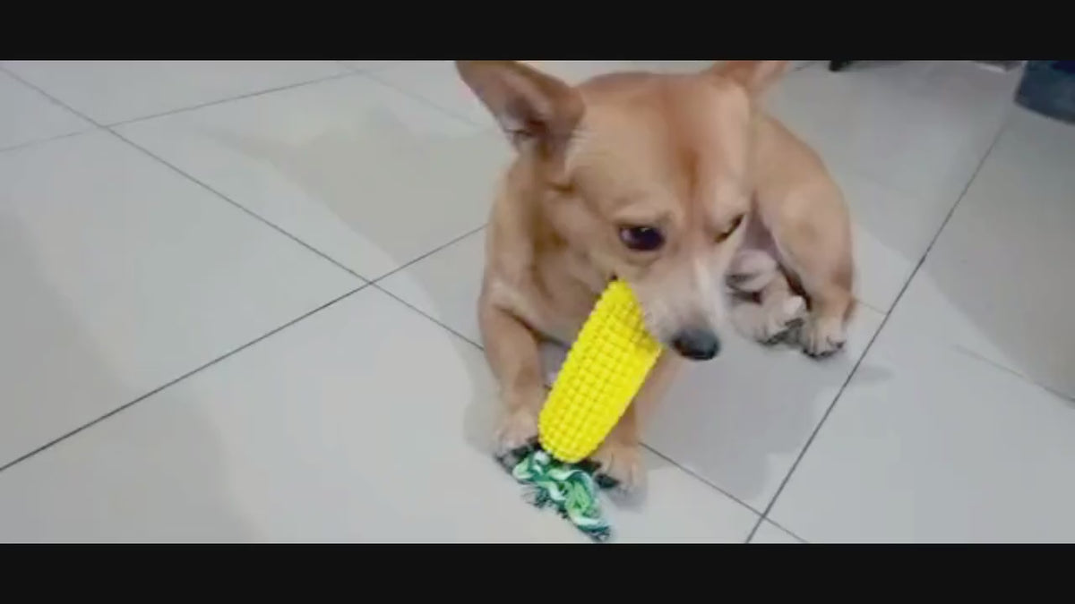Dog Toys Bite Resistant Dog toothbrush stick with sound to Relieve Boredom