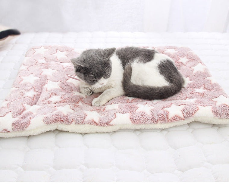 Dog and cat bed