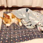 Dog and cat bed