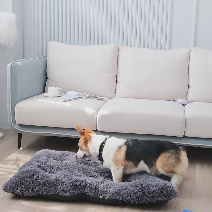 Comfortable Dog BED