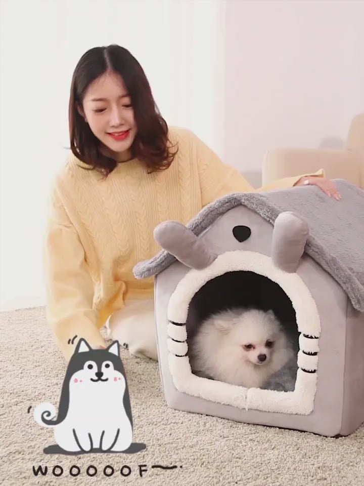 Cat and Dogs Cute House
