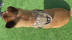 Pet Supplies Dog Harness Large Dog Training Tactical Chest Back K9 Pet Chest Harness Vest Type Reflective Dog Rope Explosion-Proof Okinawa Pet Collar