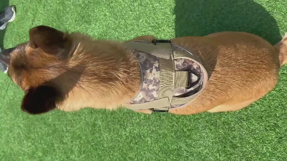 Pet Supplies Dog Harness Large Dog Training Tactical Chest Back K9 Pet Chest Harness Vest Type Reflective Dog Rope Explosion-Proof Okinawa Pet Collar
