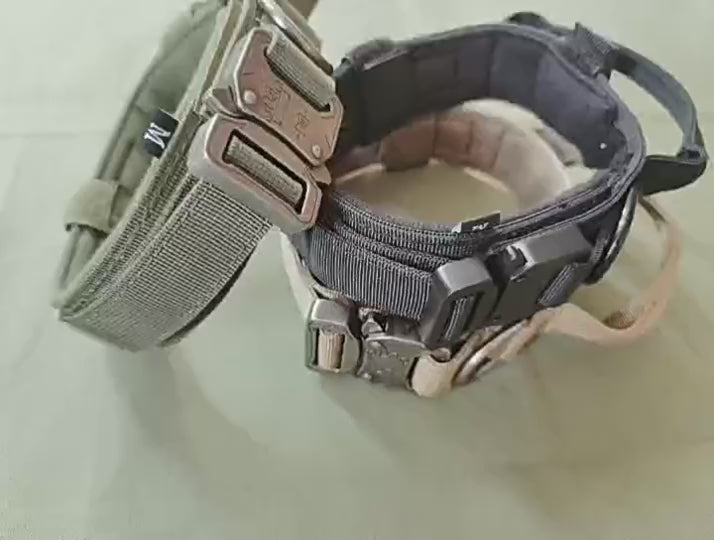 Tactical dog collar