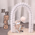 Cat Toy and scratch Device
