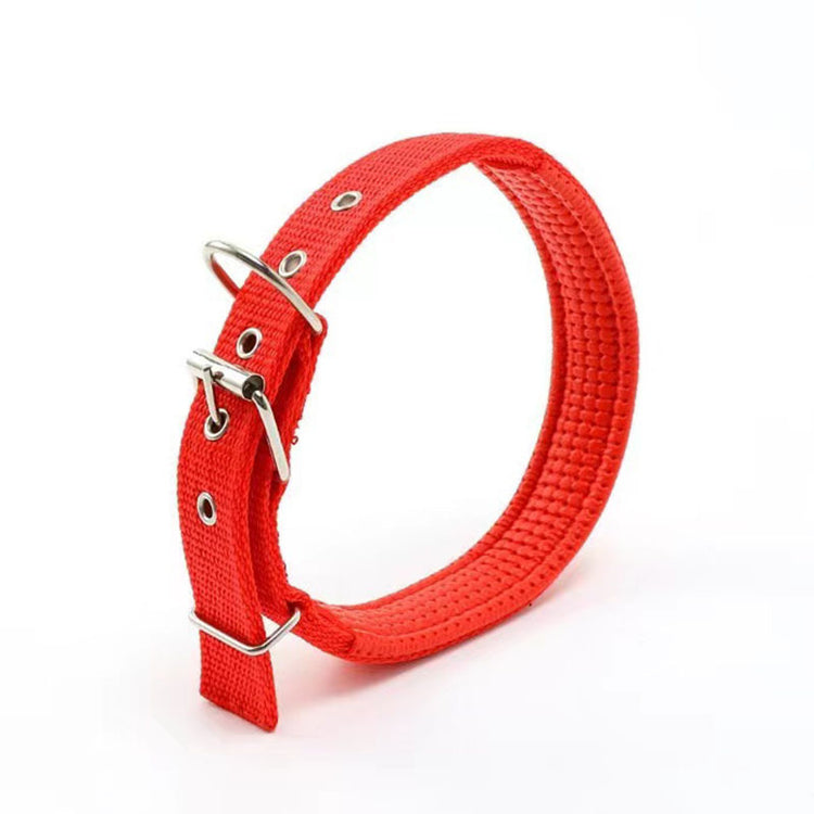 SUPER SAVER Dog Collar