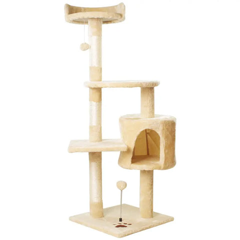 Cat Climbing Tree