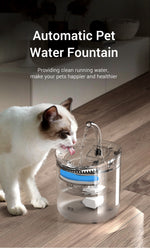 Pet water dispenser automatic cycle fountain