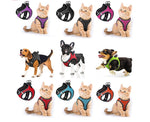 Pet Harness