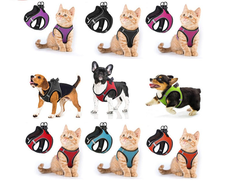 Pet Harness