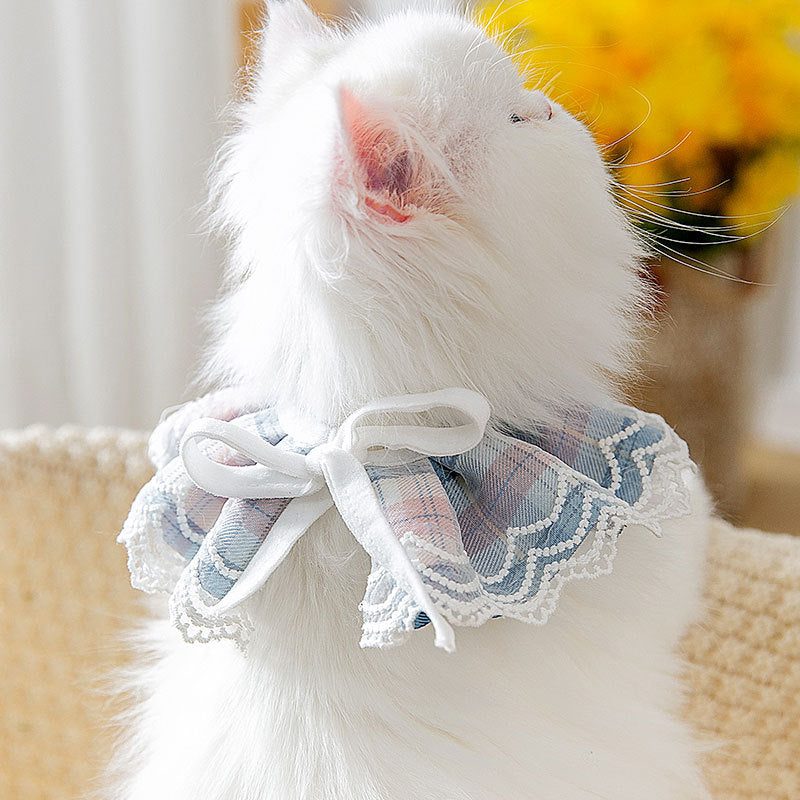Cute Cat Neck Dress
