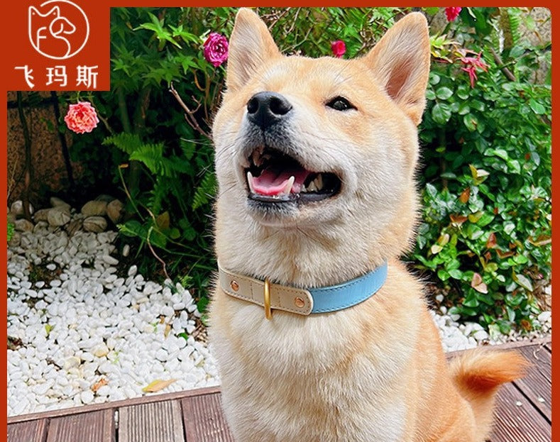 Dog Collar