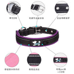 High Quality Dog collar