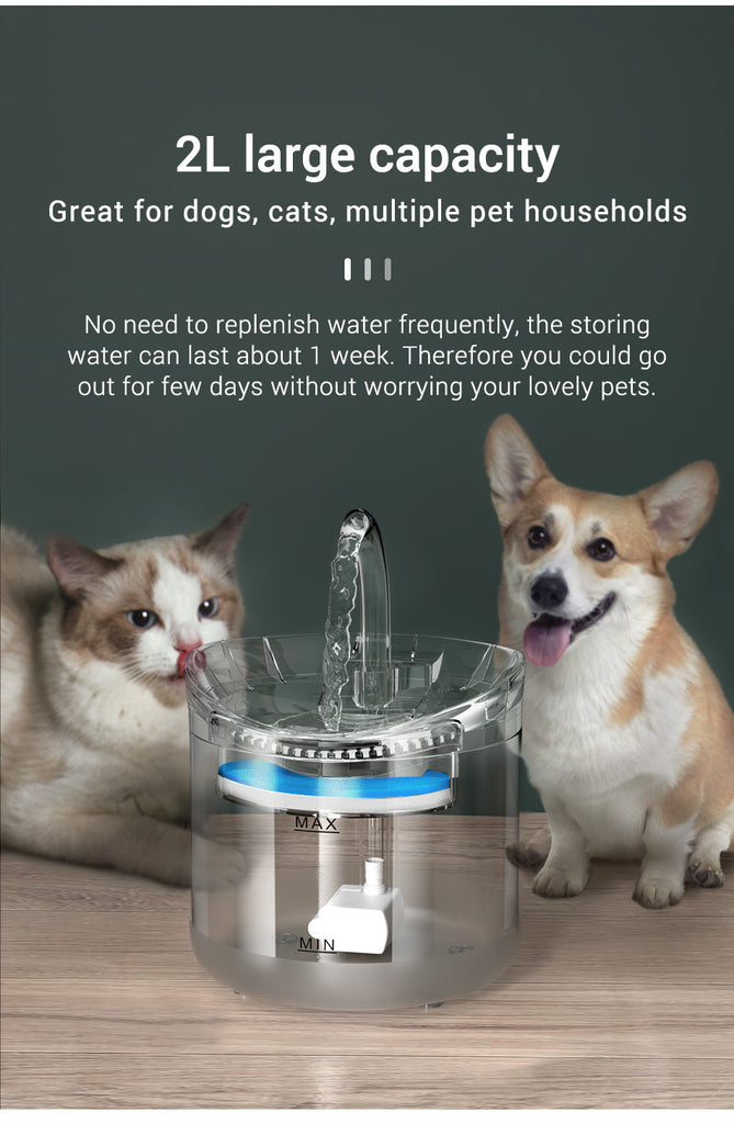 Pet water dispenser automatic cycle fountain