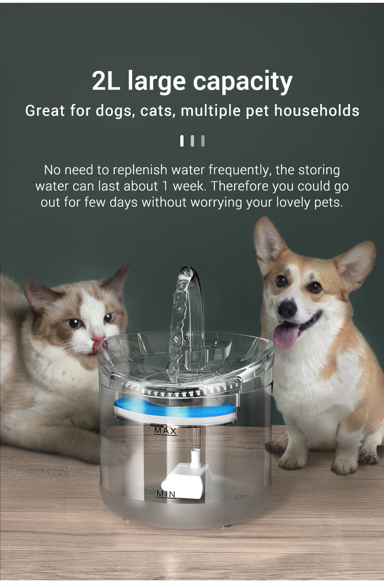 Pet water dispenser automatic cycle fountain