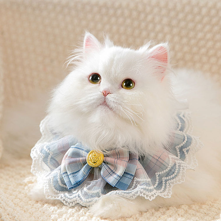 Cute Cat Neck Dress