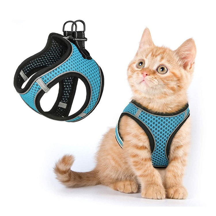 Pet Harness