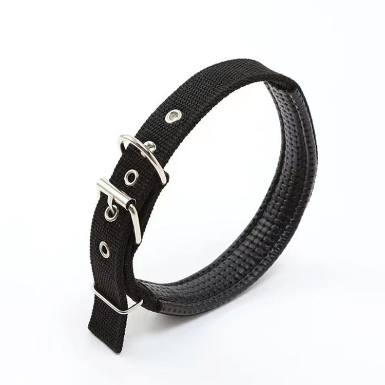 SUPER SAVER Dog Collar