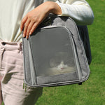 Pet carrier with pet mat