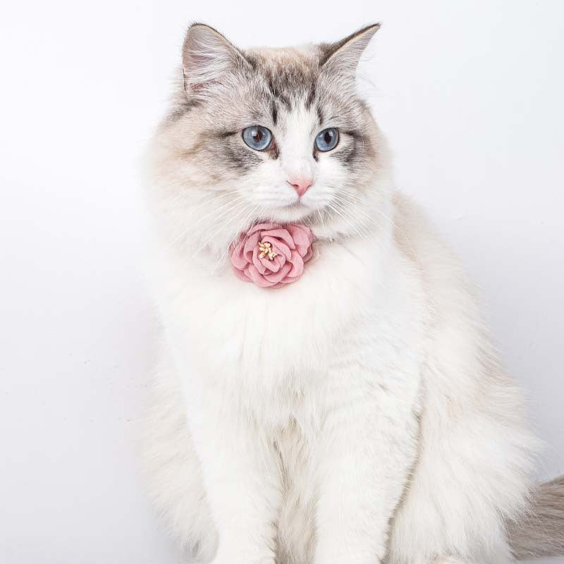 Cute Pet Flower design collar